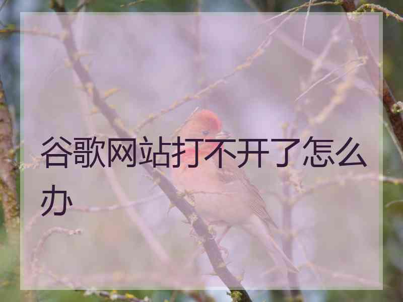 谷歌网站打不开了怎么办