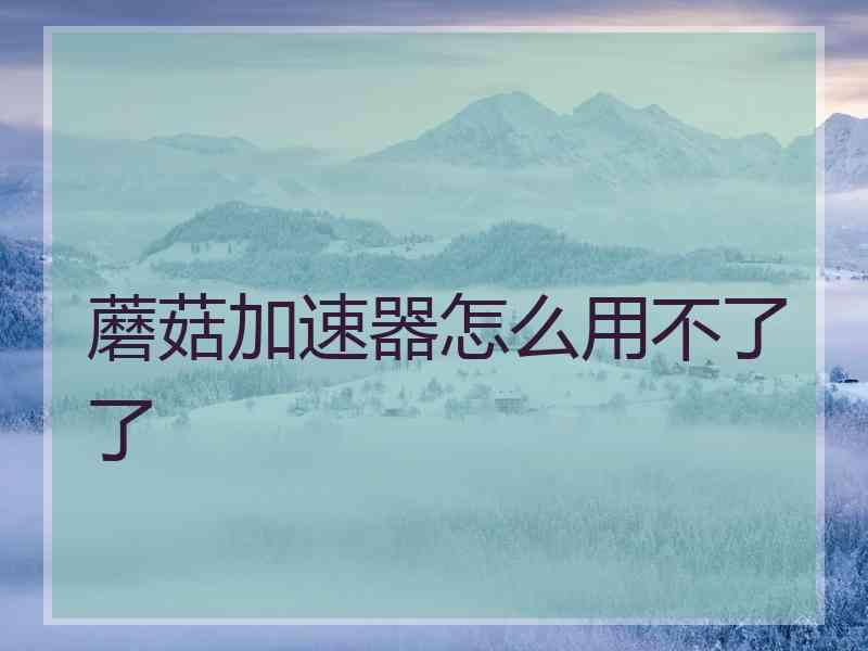 蘑菇加速器怎么用不了了