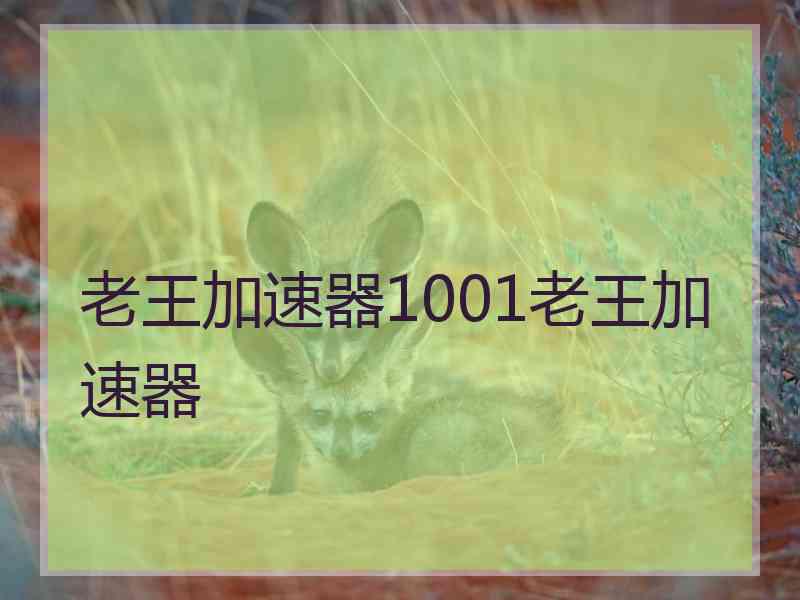 老王加速器1001老王加速器
