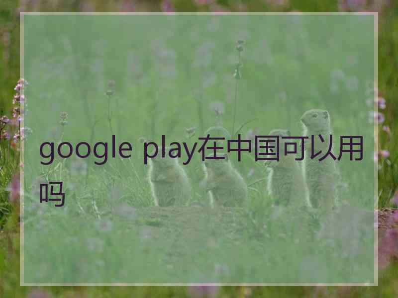 google play在中国可以用吗