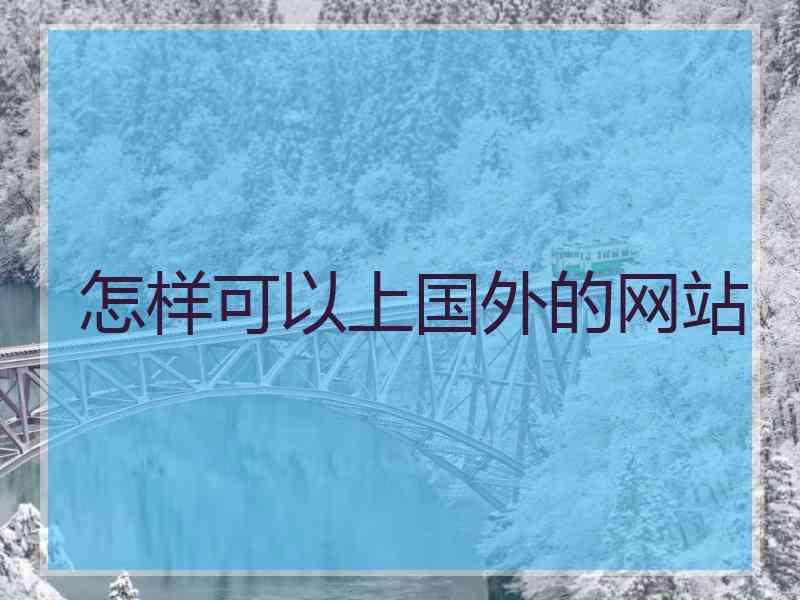 怎样可以上国外的网站