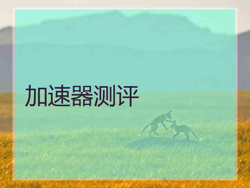 加速器测评