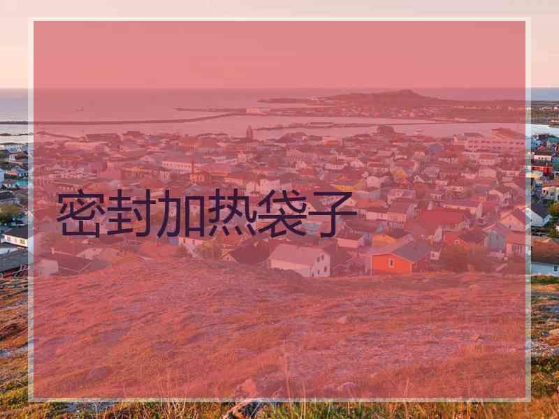 密封加热袋子
