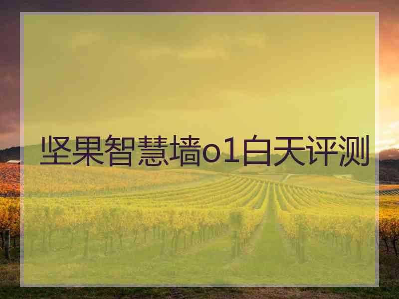 坚果智慧墙o1白天评测