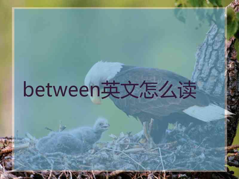 between英文怎么读