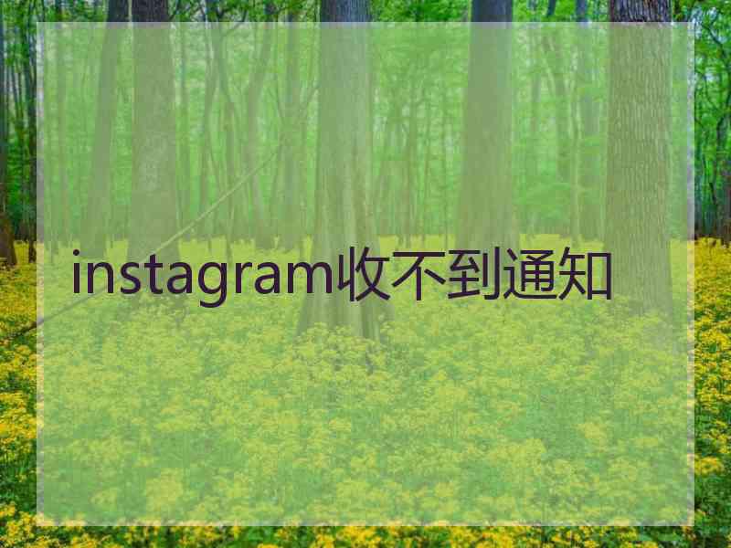 instagram收不到通知