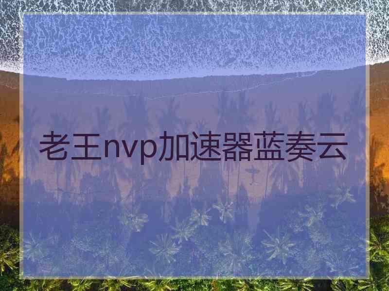 老王nvp加速器蓝奏云