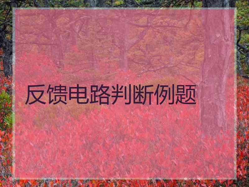反馈电路判断例题
