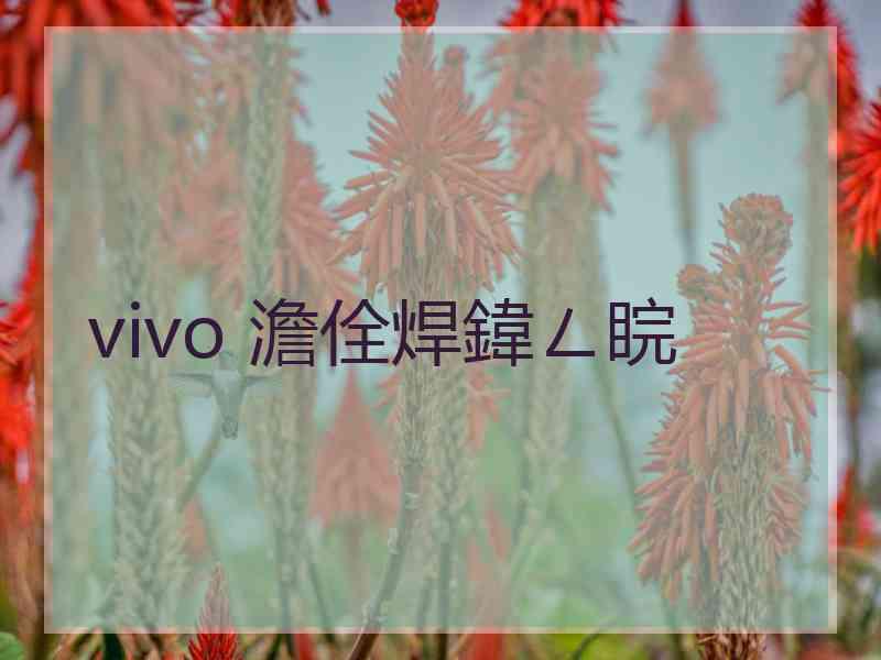 vivo 澹佺焊鍏ㄥ睆