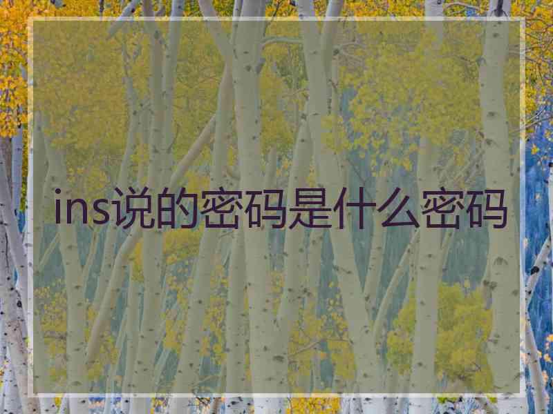 ins说的密码是什么密码