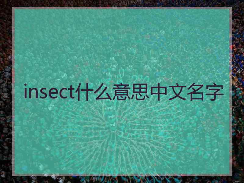 insect什么意思中文名字