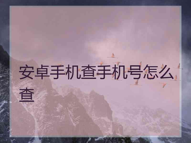 安卓手机查手机号怎么查