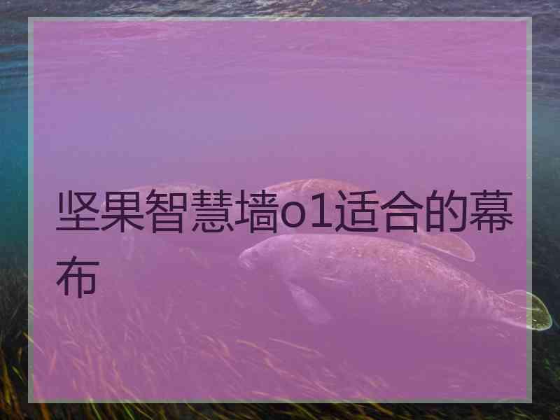 坚果智慧墙o1适合的幕布