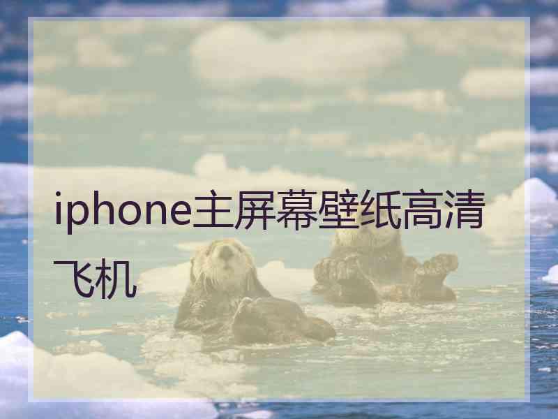 iphone主屏幕壁纸高清飞机