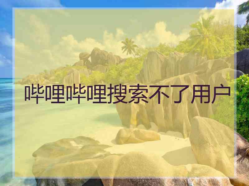 哔哩哔哩搜索不了用户