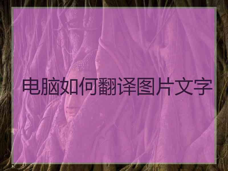电脑如何翻译图片文字