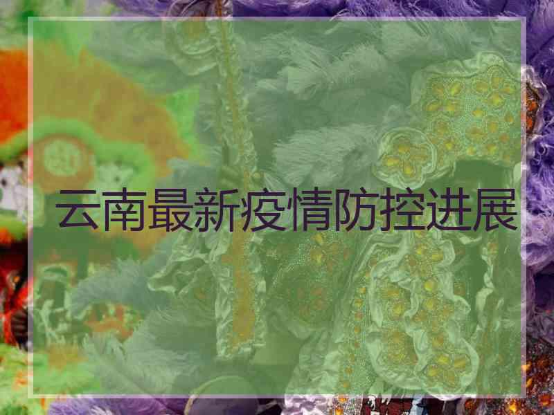 云南最新疫情防控进展