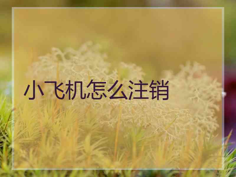 小飞机怎么注销