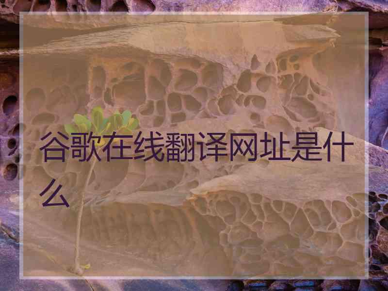 谷歌在线翻译网址是什么