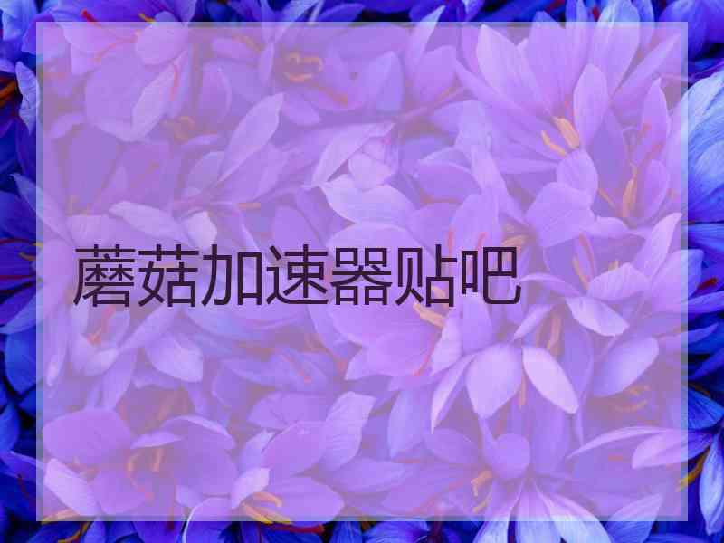 蘑菇加速器贴吧