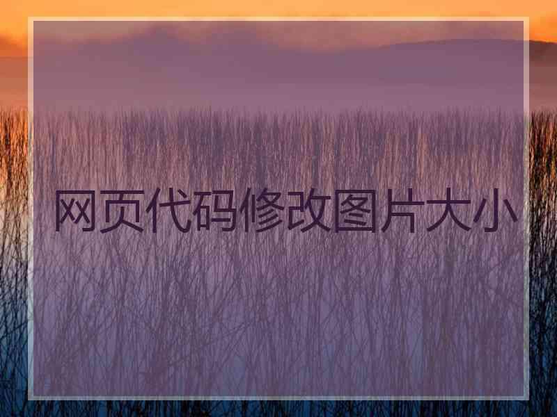 网页代码修改图片大小
