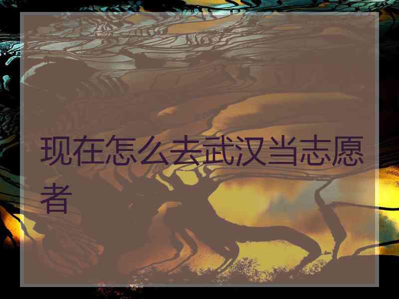 现在怎么去武汉当志愿者