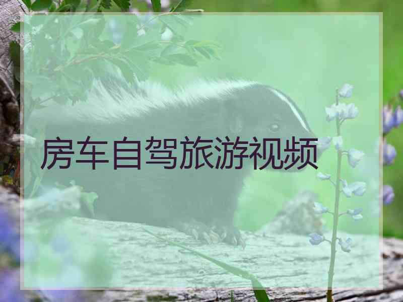 房车自驾旅游视频