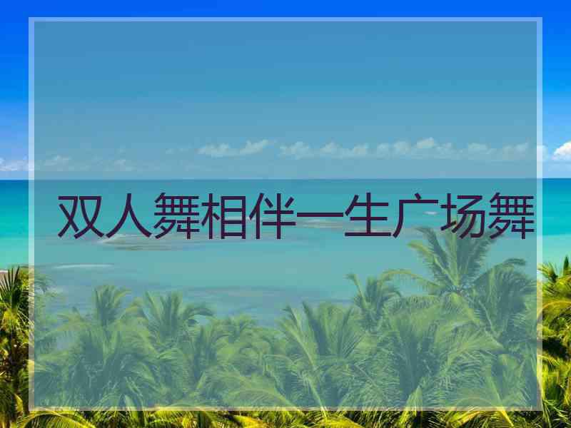 双人舞相伴一生广场舞