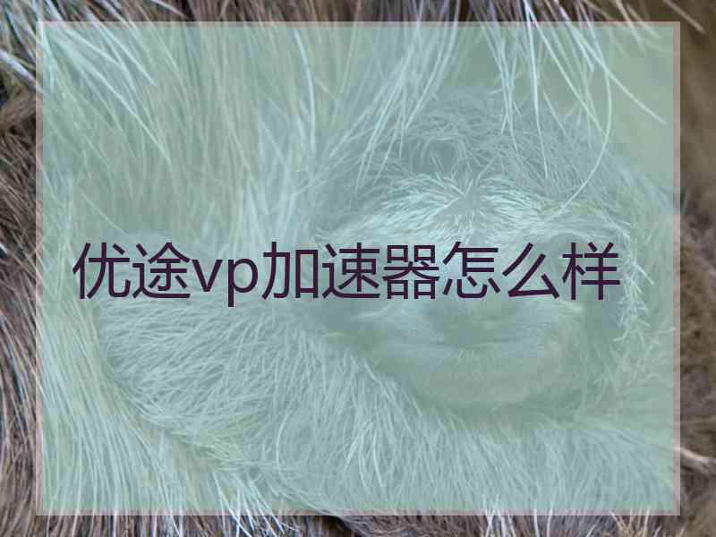 优途vp加速器怎么样