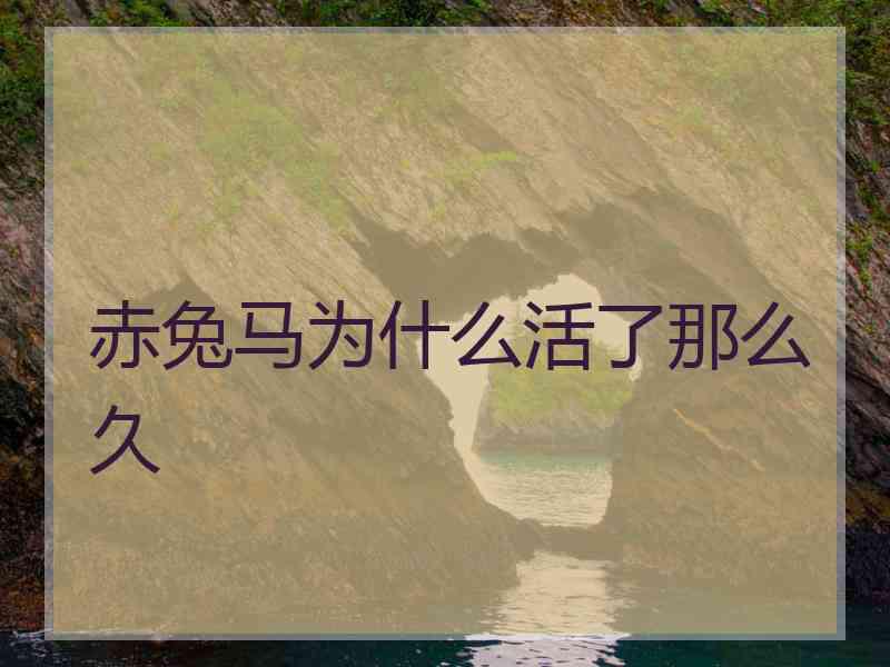 赤兔马为什么活了那么久