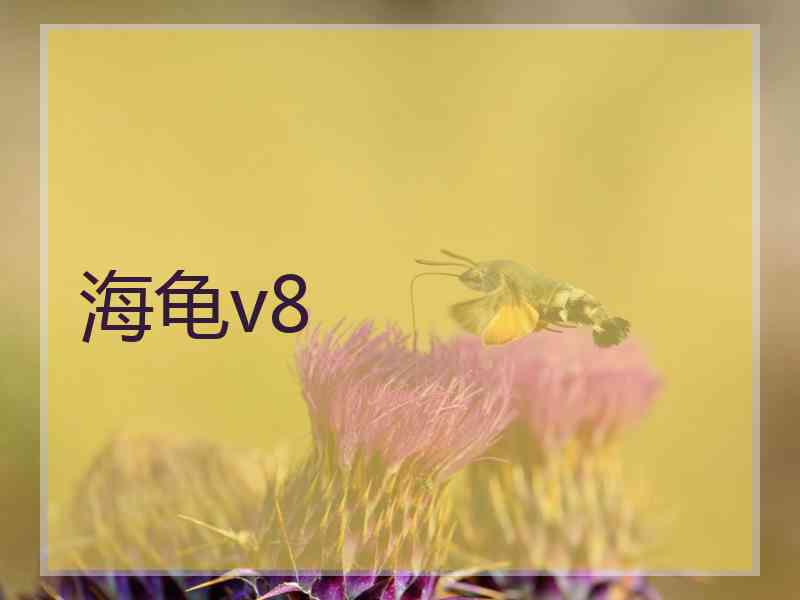 海龟v8