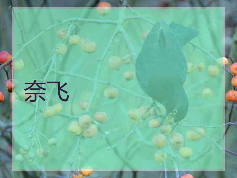 奈飞