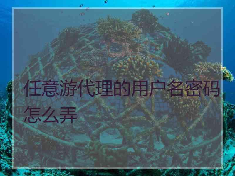 任意游代理的用户名密码怎么弄