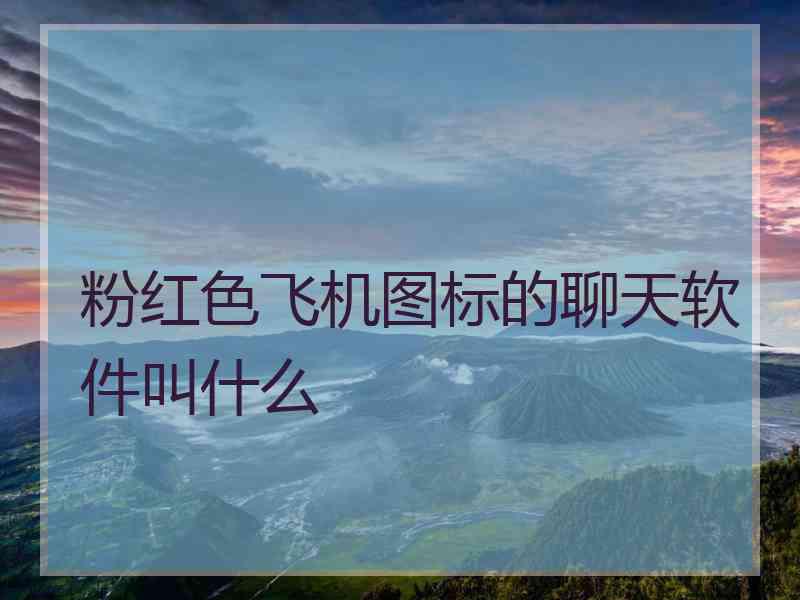 粉红色飞机图标的聊天软件叫什么