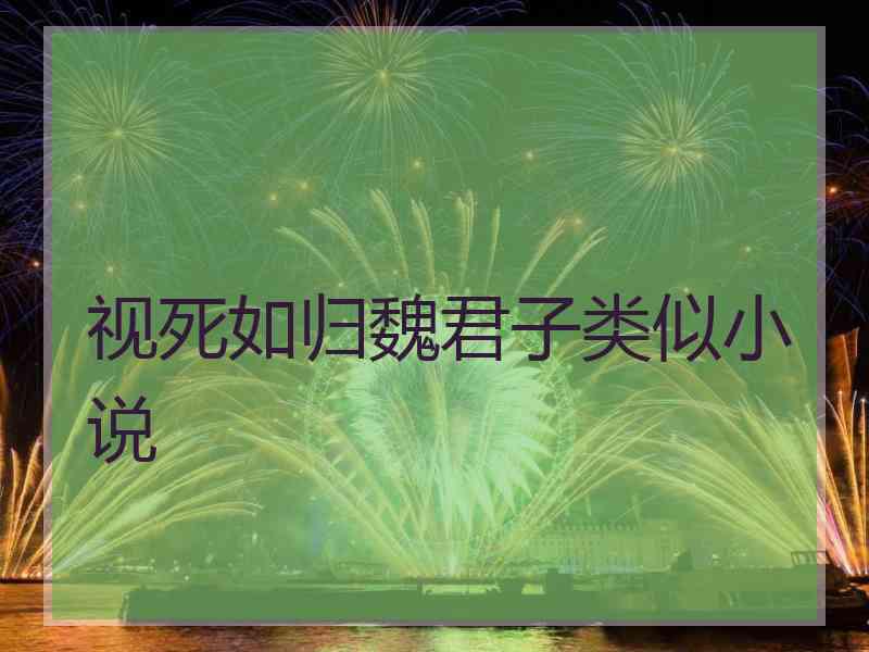 视死如归魏君子类似小说