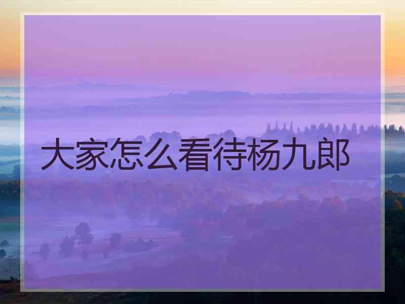 大家怎么看待杨九郎