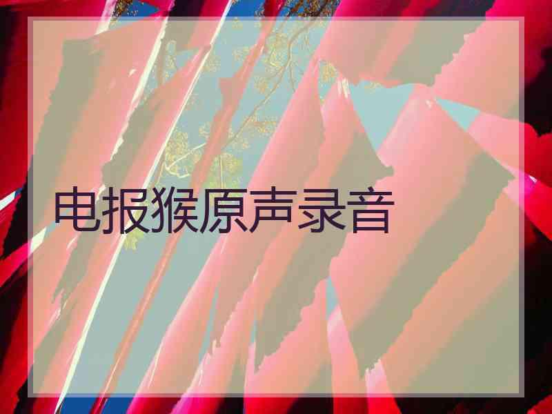 电报猴原声录音