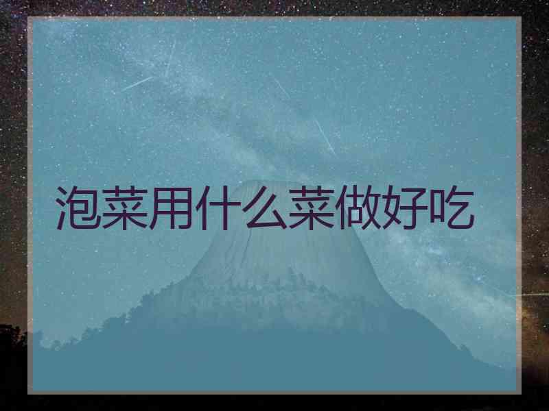 泡菜用什么菜做好吃
