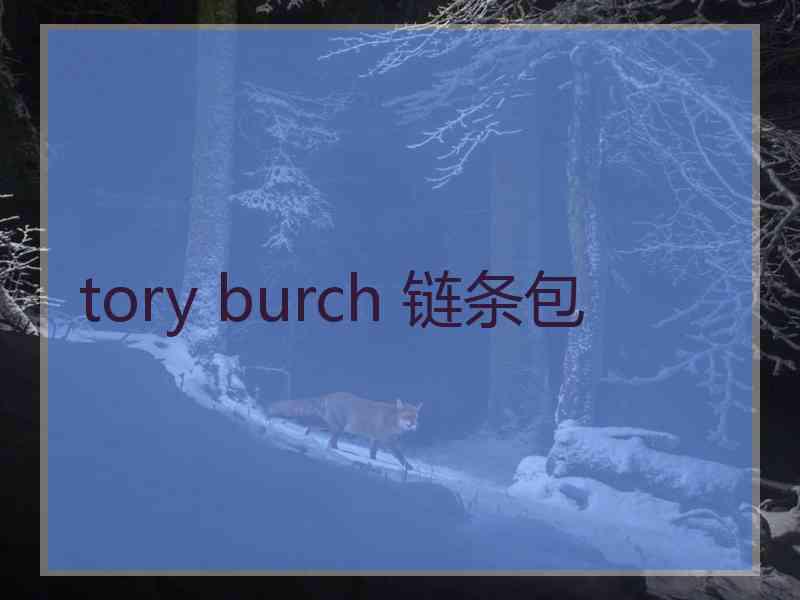tory burch 链条包