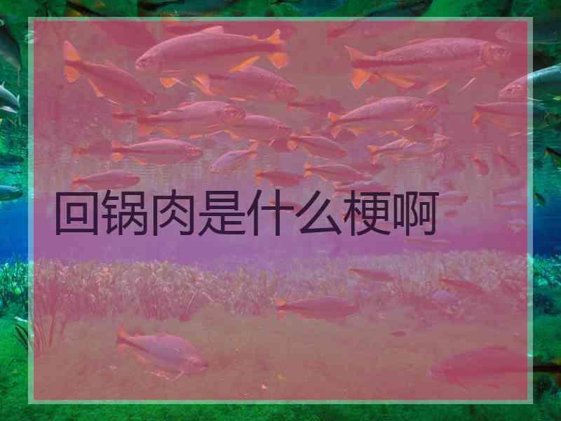回锅肉是什么梗啊