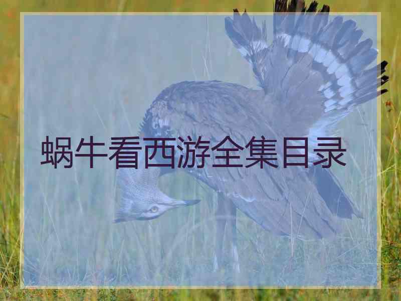 蜗牛看西游全集目录