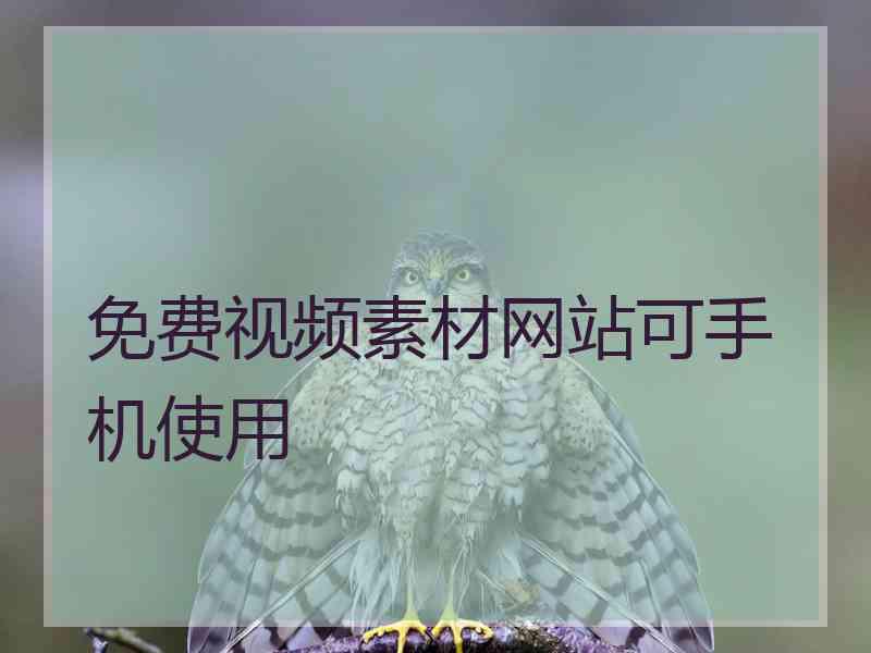 免费视频素材网站可手机使用