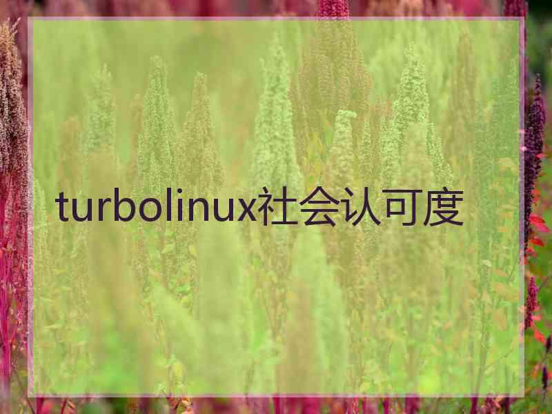 turbolinux社会认可度
