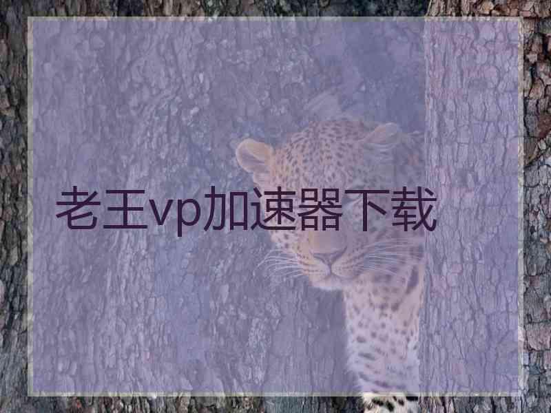 老王vp加速器下载