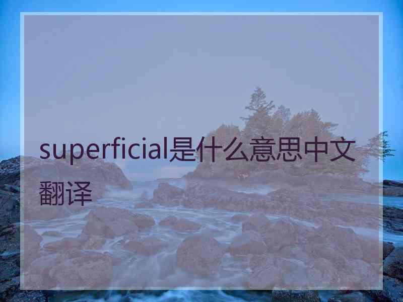 superficial是什么意思中文翻译