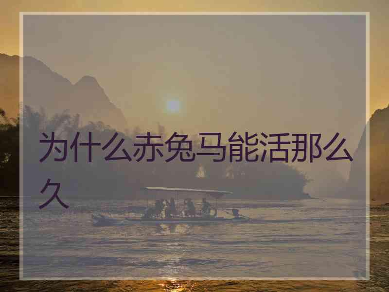 为什么赤兔马能活那么久