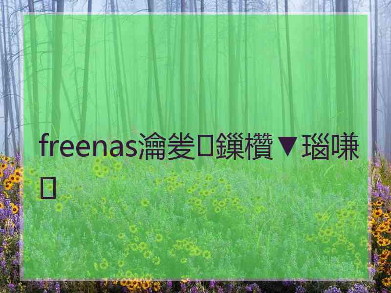 freenas瀹夎鏁欑▼瑙嗛