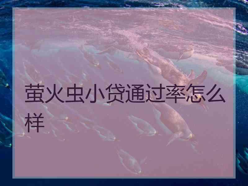 萤火虫小贷通过率怎么样