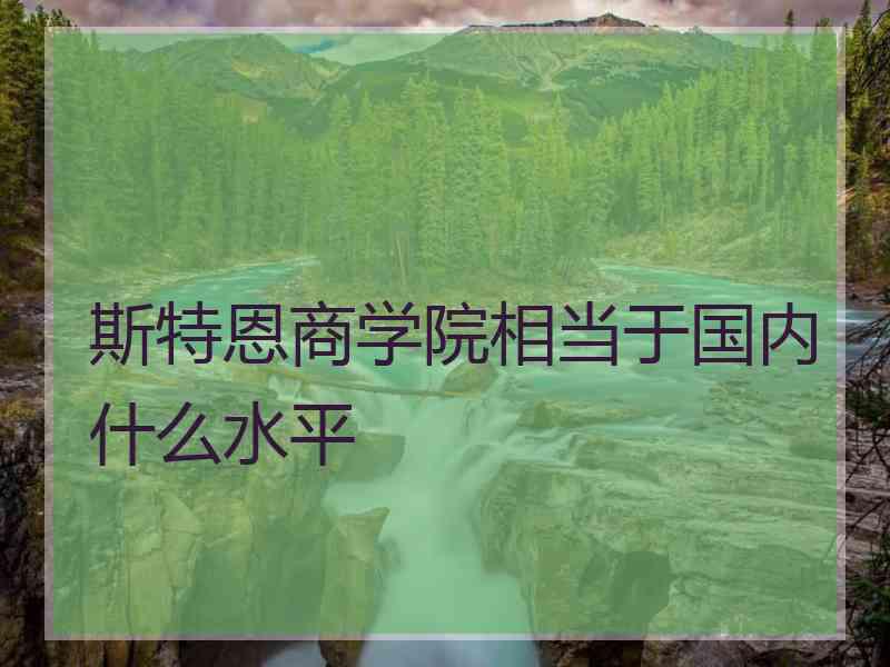 斯特恩商学院相当于国内什么水平