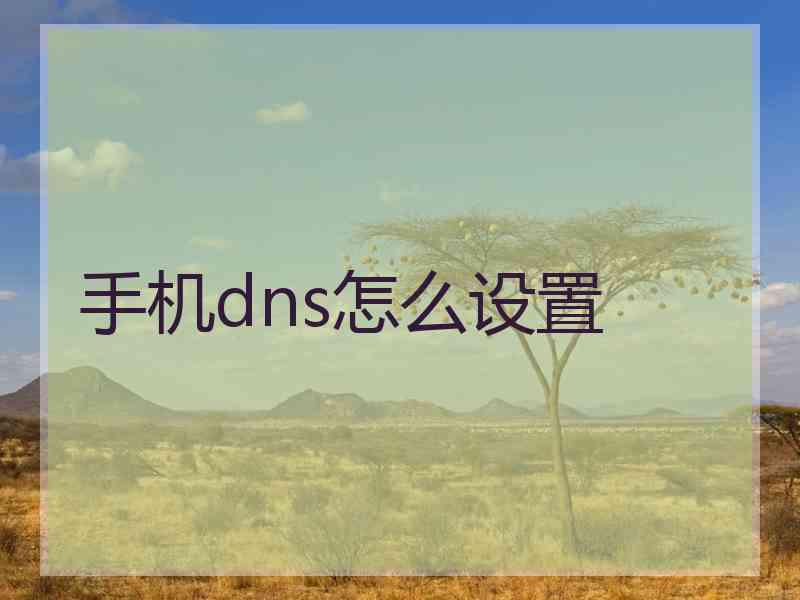 手机dns怎么设置